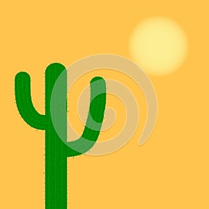 West cactus in the desert