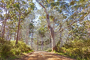 West Cape Howe National Park