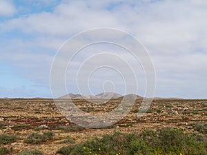 The west coast of Fuerteventura photo