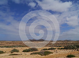 The west coast of Fuerteventura photo