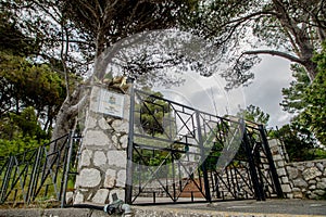 The west coast of the island Capri in spring, Italy