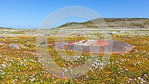 West Coast National Park Landscape