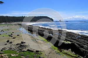 West Coast Trail, Pacific Rim National Park, Cribs Beach from Dare Point, Vancouver Island, British Columbia