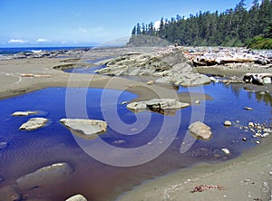West Coast Trail, Pacific Rim National Park, Cribs Creek at Dare Beach, Vancouver Island, British Columbia