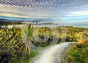 West Coast, Westport, New zealand