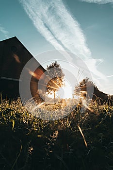 The West dunes of Ouddorp, The Netherlands