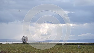 West Dyke Radar Reflector and Float Plane Richmond BC 4K UHD