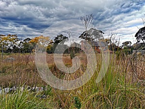 West Epping Park, Sydney Australia