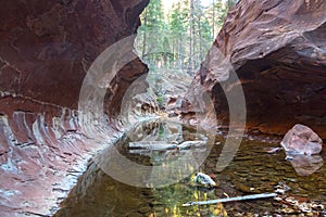 West Fork of Oak Creek Canyon in Red Rocks State Park Sedona Arizona