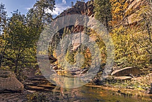 West Fork Of Oak Creek At Fall Time In Sedona AZ