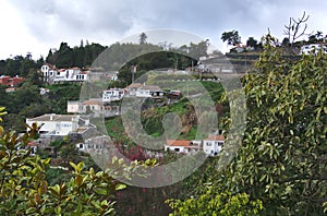 West Funchal, Madeira, Portugal - Hillside