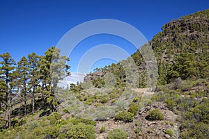 West Gran Canaria in February