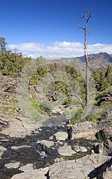 West Gran Canaria in February