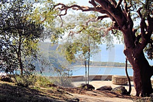 West Head Lookout in Ku-ring-gai Chase National Park