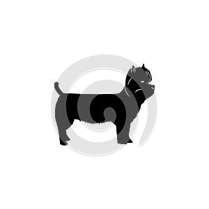 West Highland Terrier icon. Popular Breed of dogs element icon. Premium quality graphic design icon. Dog Signs and symbols collect