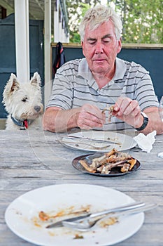 West highland terrier westie dog watching retired man pick at bo