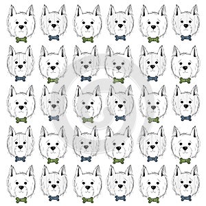 West highland white terrier scetch pattern