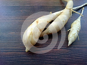 West Indian Arrowroot,Maranta arundinacea,Indonesian arrowroot