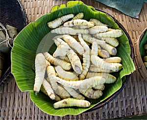 West Indian arrowroot plant on banana leaf