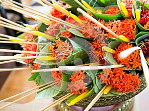 West Indian Jasmine or Ixora, incense stick and candles in banana-leaf cone being prepared for a National Teacher`s Day Wai Kru