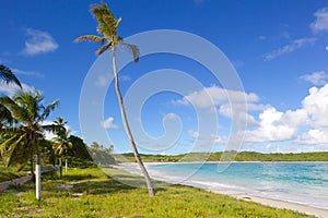 West Indies, Caribbean, Antigua, St Philip, Half Moon Bay photo