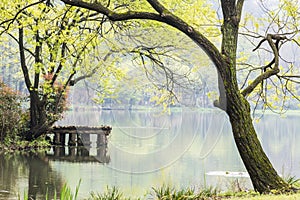 West internal lake and peach blossom