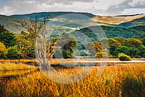 West Ireland Landscape Killarney National Park