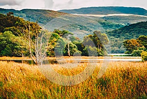 West Ireland Landscape Killarney National Park