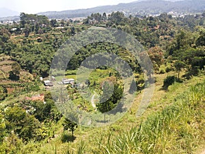 West Java Landscape 6