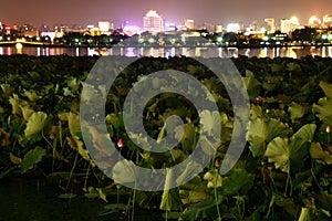 West Lake in Hangzhou, China night