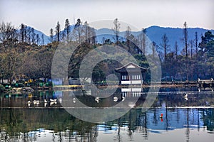 West Lake Reflection Hangzhou Zhejiang China