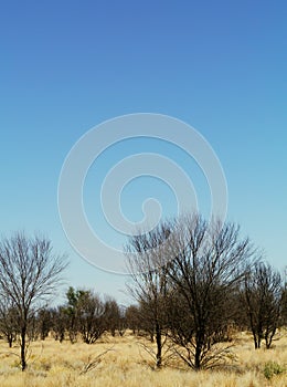 West Mcdonnel ranges