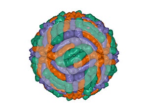 The West Nile virus capsid isolated photo