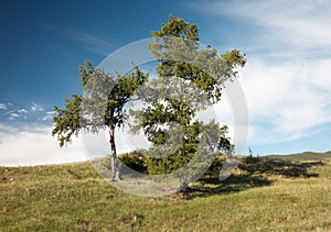 West Sayan Mountains