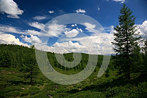 West Sayan Mountains