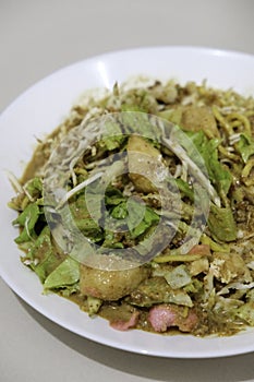 West Sumatera food, pical, served on a plate