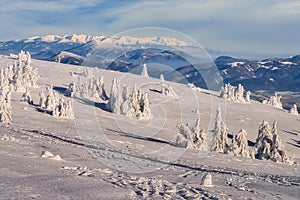 West Tatras mountains from Krizava hill in Mala Fatra near Martinske Hole