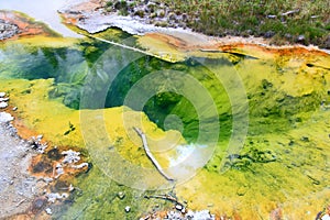 West Thumb Geyser Basin in Yellowstone