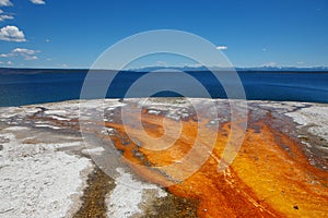 West Thumb Geyser Basin in Yellowstone National Park,USA.