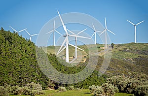 west Windfarm near Wellington