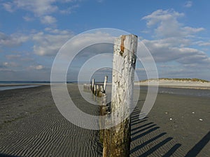 West Wittering pilings, Sussex, UK.