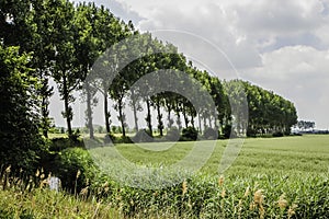 West Zeeuws Flanders, The Netherlands.