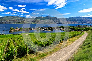 Westbank West Kelowna Okanagan Lake Vineyard