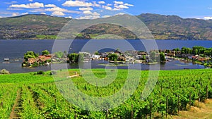 Westbank West Kelowna Okanagan Lake Vineyard