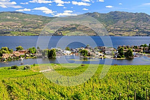 Westbank West Kelowna Okanagan Lake Vineyard