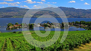 Westbank West Kelowna Okanagan Lake Vineyard