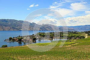 Westbank West Kelowna Okanagan Lake Vineyard