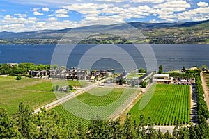 Westbank West Kelowna Okanagan Lake Vineyard