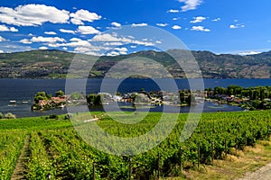 Westbank West Kelowna Okanagan Lake Vineyard photo