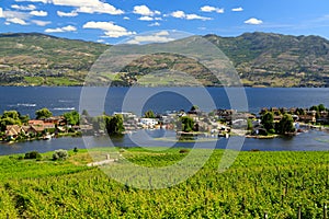 Westbank West Kelowna Okanagan Lake Vineyard photo